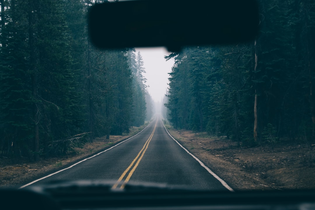 Comment installer une moustiquaire sans percer ? 3